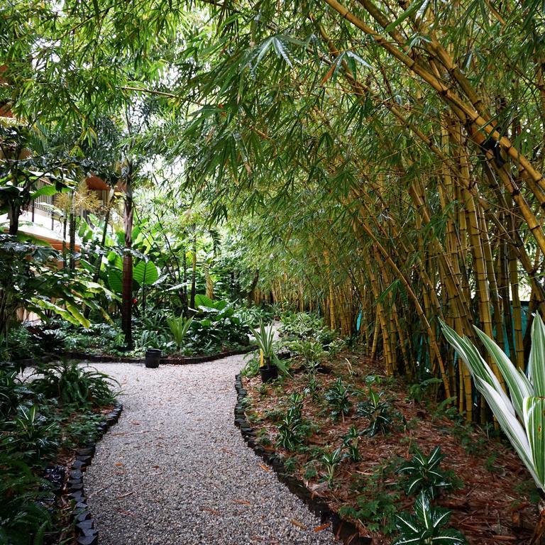 Jacana Amazon Wellness Resort ปารามารีโบ ภายนอก รูปภาพ