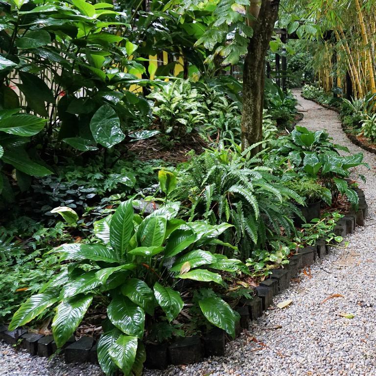 Jacana Amazon Wellness Resort ปารามารีโบ ภายนอก รูปภาพ